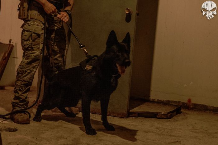 Our Director Of Training Dennis O'Connor has an extensive history with SWAT tactics and operations as well as training police canines and loves incorporating them in SWAT training whenever possible.