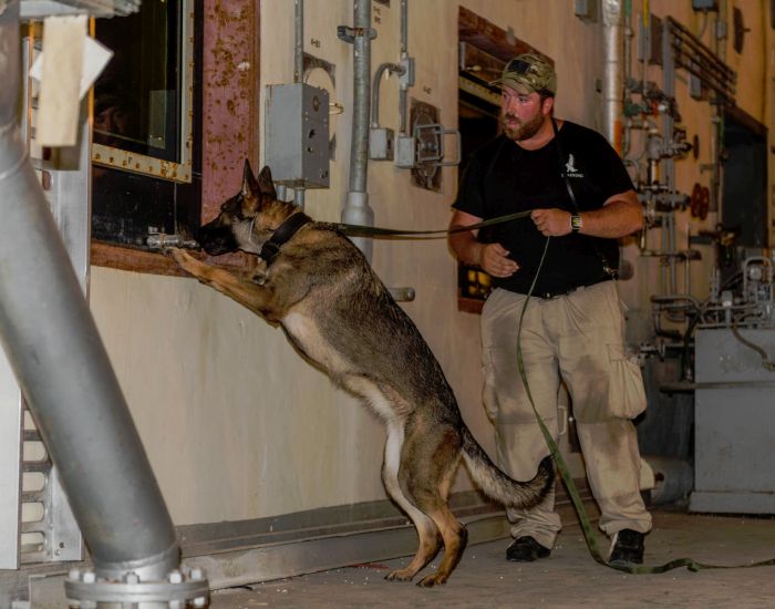 A Custom Canine Unlimited student conducting some explosive detection training with his dog.